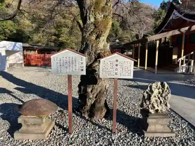 富士山本宮浅間大社の{uncategorized: "未分類", other: "その他", undefined: "問題あり", building: "その他建物", grave: "お墓", sacred_gate: "鳥居", guardian: "狛犬", statue: "像", buddha: "仏像", history: "歴史", nature: "自然", garden: "庭園", animal: "動物", pagoda: "塔", temizu: "手水舎", mountain_gate: "山門・神門", sanctuary: "本殿・本堂", subordinate: "末社・摂社", art: "芸術", scenery: "景色", jizo: "地蔵", ema: "絵馬", goshuin: "御朱印", omikuji: "おみくじ", items: "授与品その他", amulet: "お守り", goshuincho: "御朱印帳", eats: "食事", festival: "お祭り", votive_dance: "神楽", shichigosan: "七五三参", wedding: "結婚式", experience: "体験その他", initially: "初詣", around: "周辺", anti_infection: "感染症対策"}