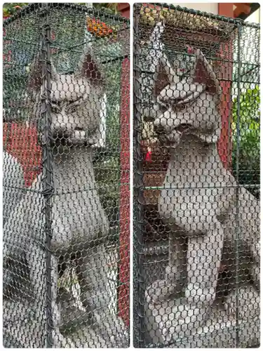 御霊神社の狛犬