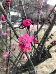 大生郷天満宮の自然