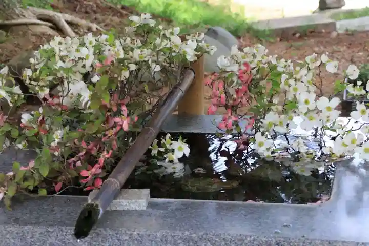 高司神社〜むすびの神の鎮まる社〜の手水舎