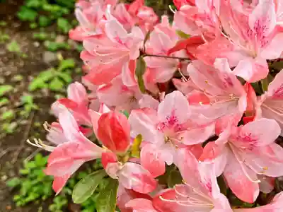 根津神社(東京都)