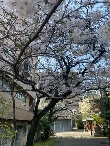 秋葉神社(東京都)