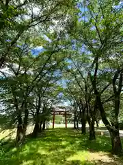 子檀嶺神社の鳥居