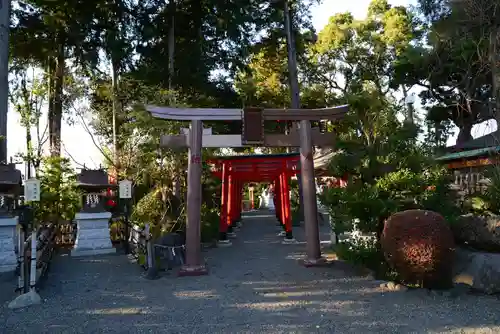 亀ケ池八幡宮の鳥居