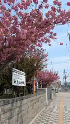 新琴似神社(北海道)