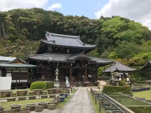 三室戸寺の本殿・本堂