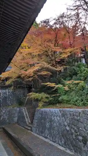 禅林寺（永観堂）(京都府)