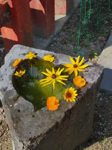 牛嶋天満宮の手水