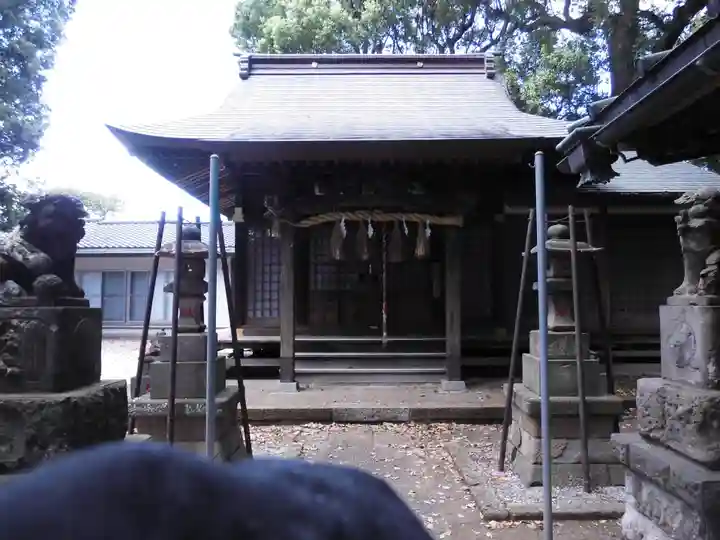 熊野神社(神奈川県)