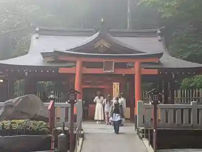 箱根神社の本殿・本堂