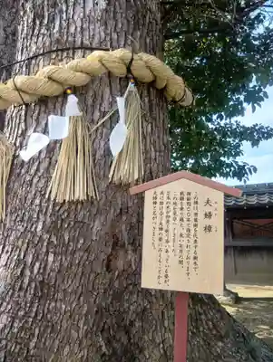 竹鼻八剱神社(八剣神社)(岐阜県)