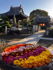 真言宗 善通寺派 薬王寺(香川県)(2025年11月30日(日) 18時01分53秒投稿)