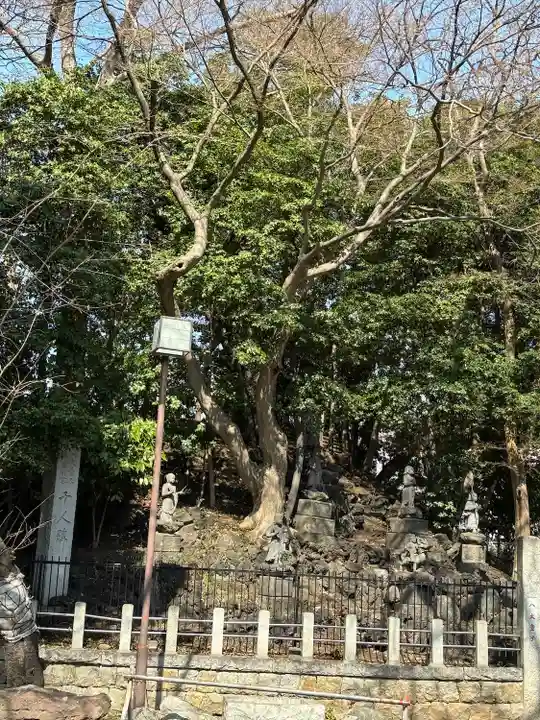 瀧泉寺(目黒不動尊)(東京都)