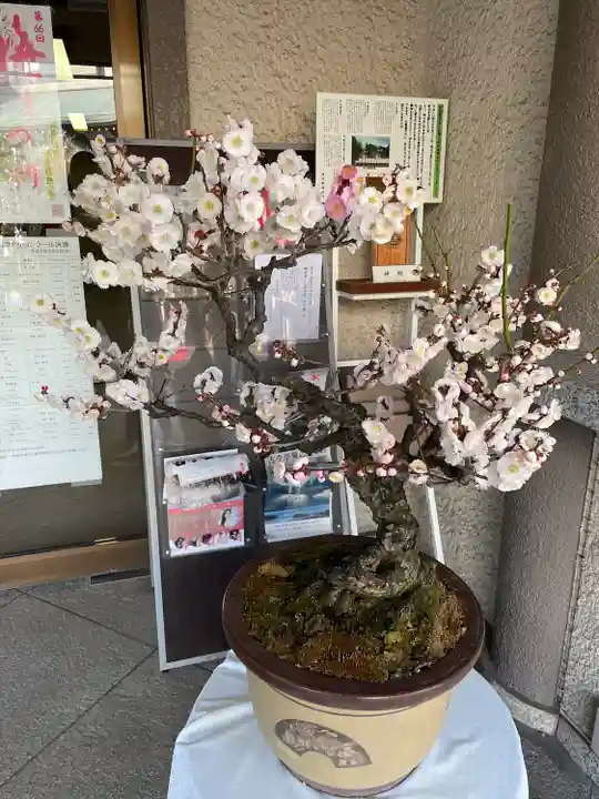 湯島天満宮のその他建物