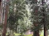 大宮温泉神社(栃木県)