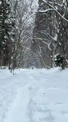 戸隠神社奥社(長野県)