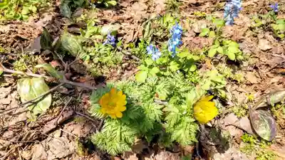 浦臼神社(北海道)