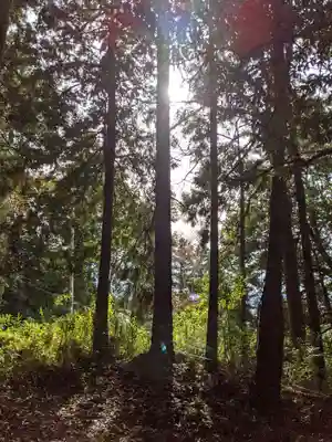 伊吹山寺(滋賀県)
