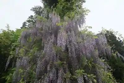 古峯神社の庭園