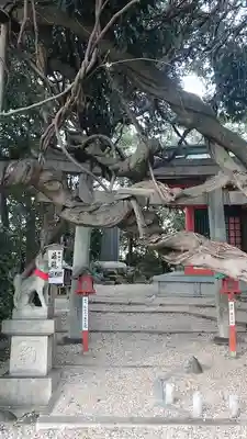 豊藤稲荷神社のその他建物