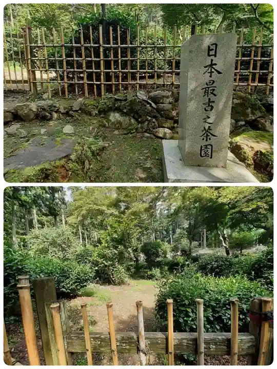 高山寺(京都府)