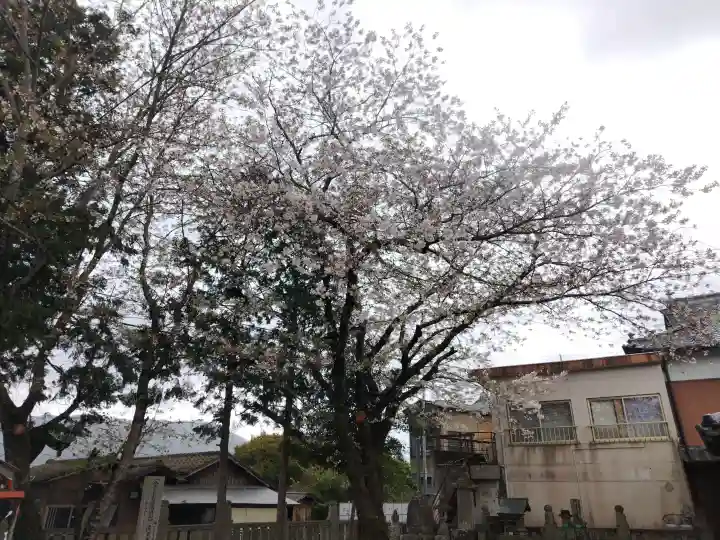 玉振神社の{uncategorized: "未分類", other: "その他", undefined: "問題あり", building: "その他建物", grave: "お墓", sacred_gate: "鳥居", guardian: "狛犬", statue: "像", buddha: "仏像", history: "歴史", nature: "自然", garden: "庭園", animal: "動物", pagoda: "塔", temizu: "手水舎", mountain_gate: "山門・神門", sanctuary: "本殿・本堂", subordinate: "末社・摂社", art: "芸術", scenery: "景色", jizo: "地蔵", ema: "絵馬", goshuin: "御朱印", omikuji: "おみくじ", items: "授与品その他", amulet: "お守り", goshuincho: "御朱印帳", eats: "食事", festival: "お祭り", votive_dance: "神楽", shichigosan: "七五三参", wedding: "結婚式", experience: "体験その他", initially: "初詣", around: "周辺", anti_infection: "感染症対策"}