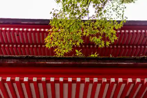 住吉神社(山口県)