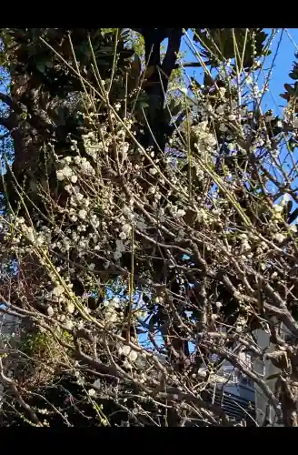 亀戸天神社の{uncategorized: "未分類", other: "その他", undefined: "問題あり", building: "その他建物", grave: "お墓", sacred_gate: "鳥居", guardian: "狛犬", statue: "像", buddha: "仏像", history: "歴史", nature: "自然", garden: "庭園", animal: "動物", pagoda: "塔", temizu: "手水舎", mountain_gate: "山門・神門", sanctuary: "本殿・本堂", subordinate: "末社・摂社", art: "芸術", scenery: "景色", jizo: "地蔵", ema: "絵馬", goshuin: "御朱印", omikuji: "おみくじ", items: "授与品その他", amulet: "お守り", goshuincho: "御朱印帳", eats: "食事", festival: "お祭り", votive_dance: "神楽", shichigosan: "七五三参", wedding: "結婚式", experience: "体験その他", initially: "初詣", around: "周辺", anti_infection: "感染症対策"}