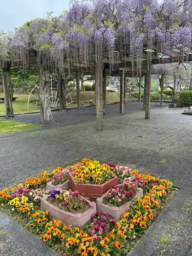 大山祇神社(愛媛県)