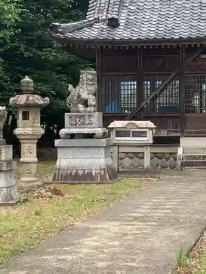 春日神社(大和田)の狛犬