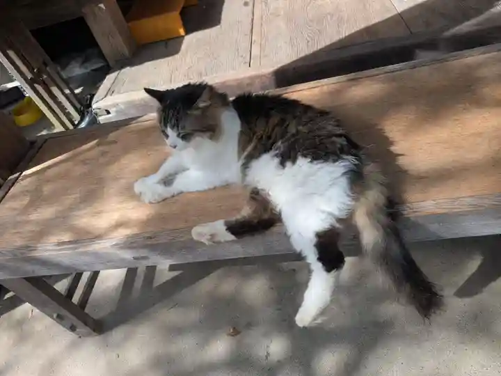 梅宮大社(京都府)