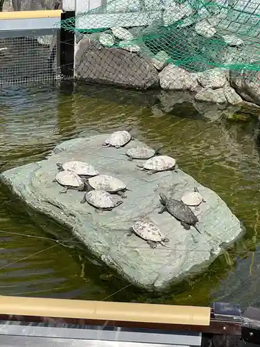 総持寺(大阪府)