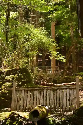 諏訪大社(長野県)