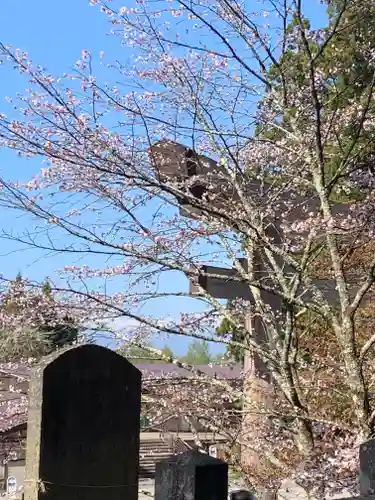 戸隠神社中社の鳥居