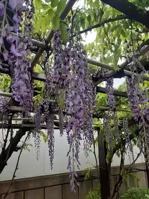 西方山極楽寺(岐阜県)
