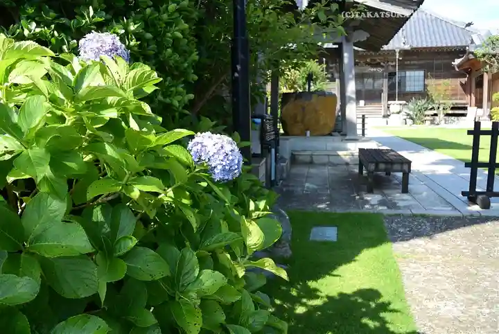 福泉寺(神奈川県)