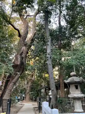 生田神社(兵庫県)