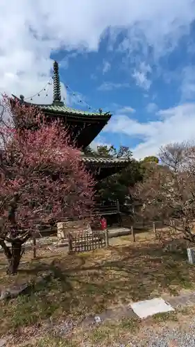 清凉寺(京都府)