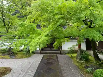 真正極楽寺(真如堂)(京都府)