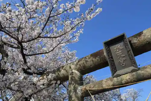 水天宮の鳥居