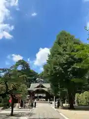 布多天神社(東京都)