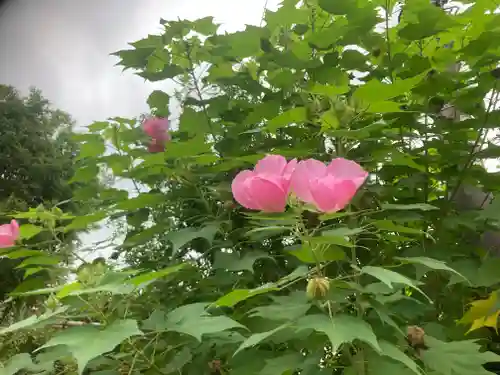 大巧寺(神奈川県)