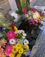 滑川神社 - 仕事と子どもの守り神の手水舎