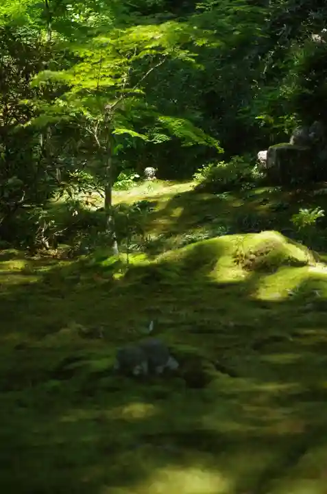 三千院門跡(京都府)