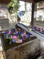 上野総社神社(群馬県)