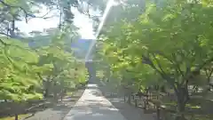 南禅寺の建物その他