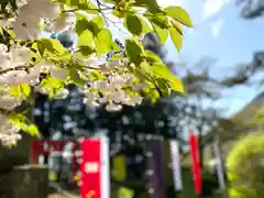 真田神社の自然