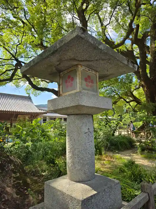 太宰府天満宮(福岡県)