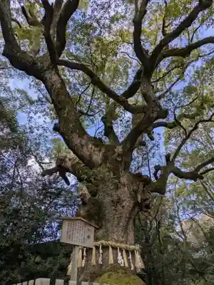 熱田神宮(愛知県)