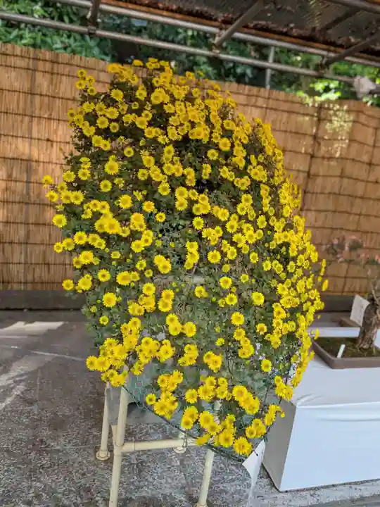 明治神宮(東京都)